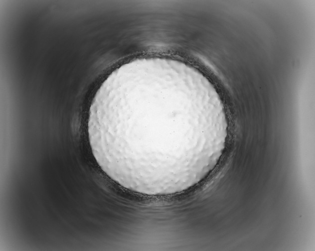 X0000088021259200706081434