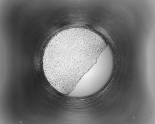 X0000088021260200706081434