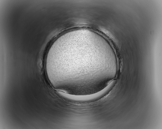 X0000088021261200706081434