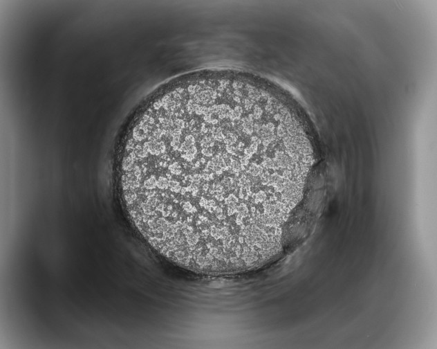 X0000088021263200706081434