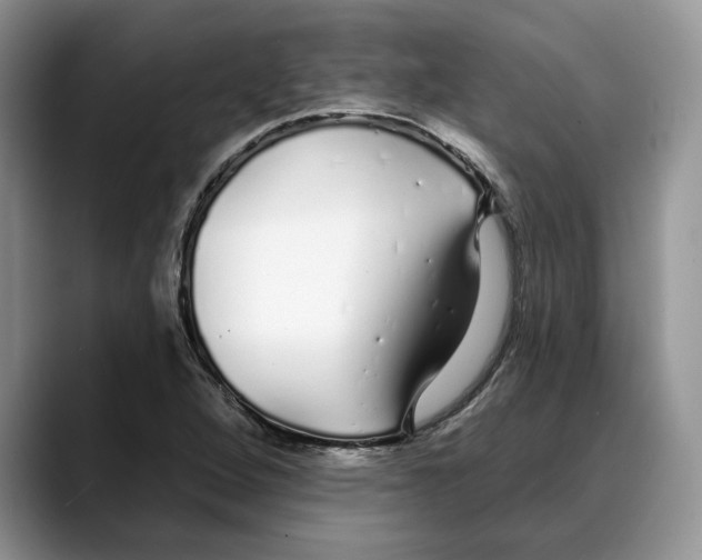 X0000088021264200706081434