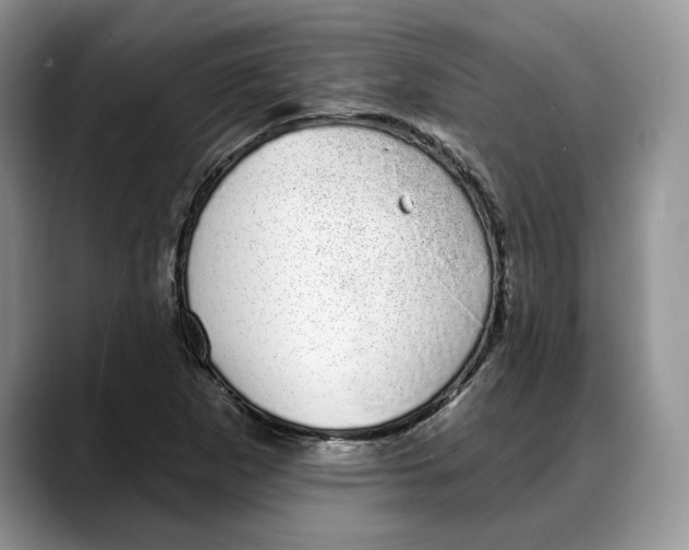 X0000088021265200706081434