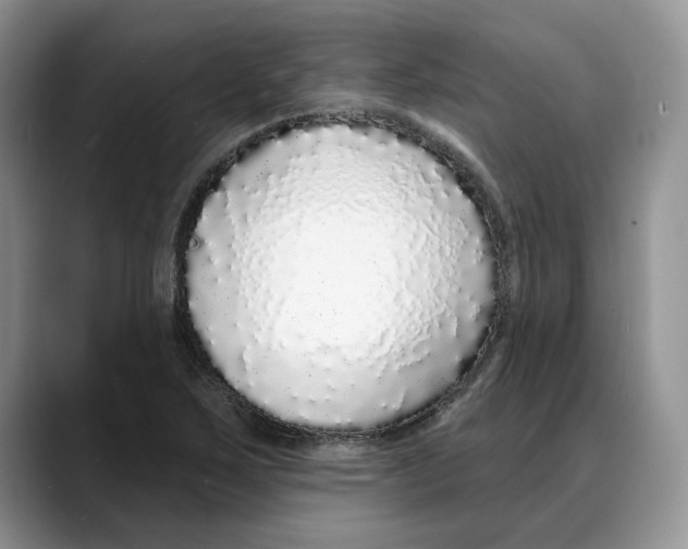 X0000088021267200706081434