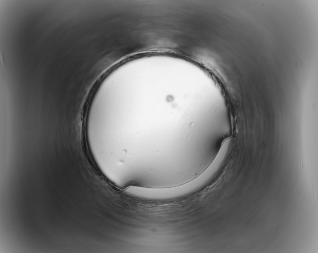 X0000088021268200706081434