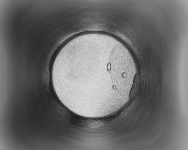 X0000088021270200706081434