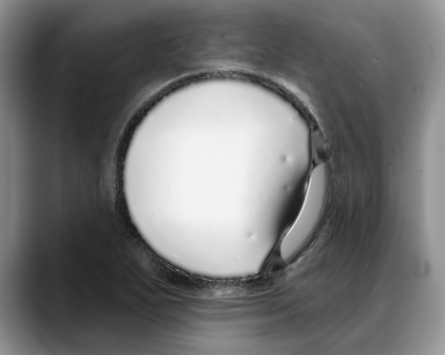 X0000088021271200706081434