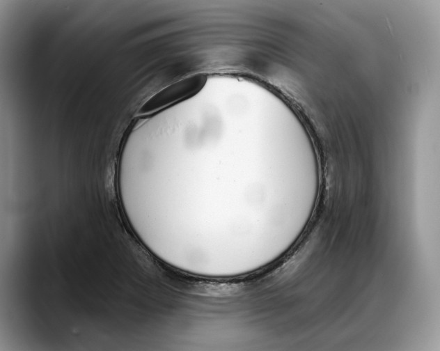 X0000088021273200706081434