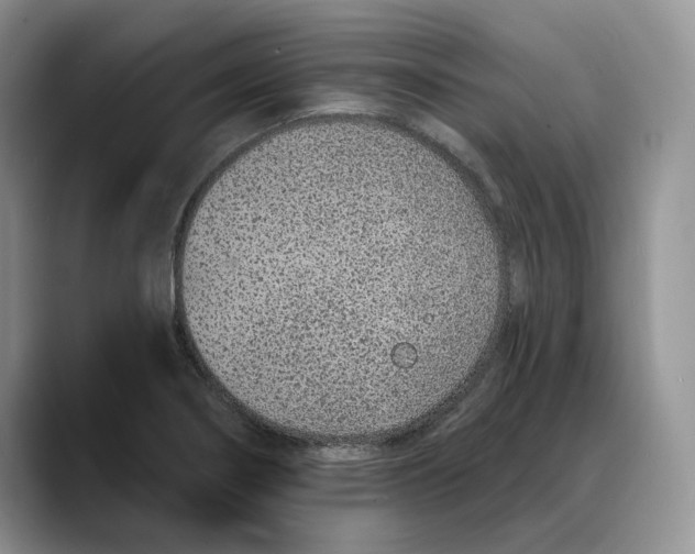 X0000088021274200706081434