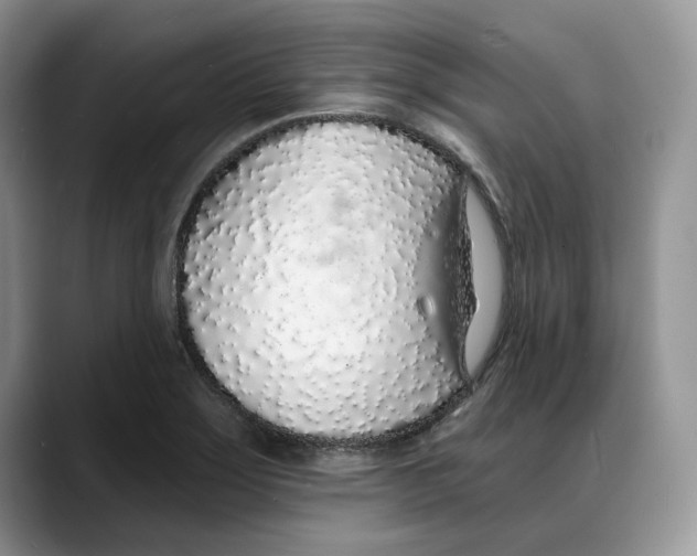 X0000088021275200706081434