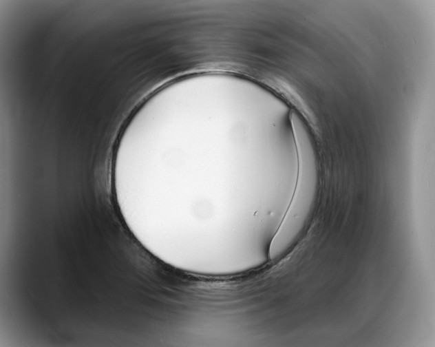 X0000088021276200706081434