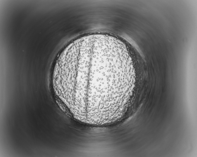 X0000088021277200706081434