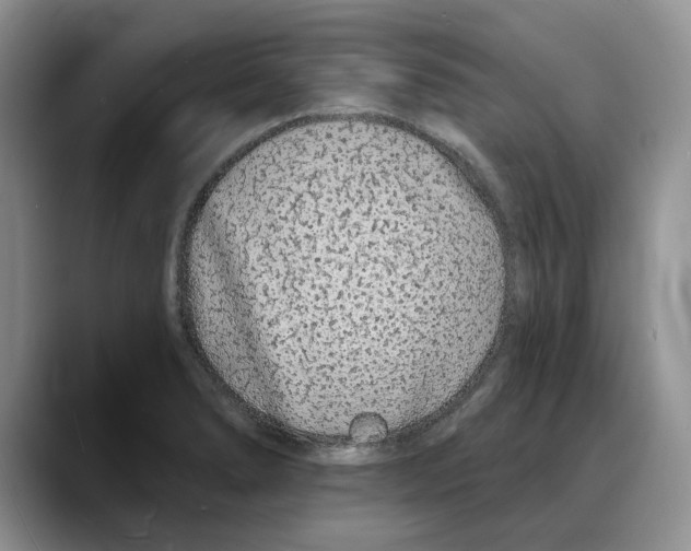 X0000088021278200706081434