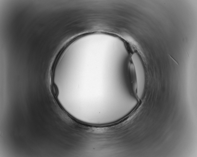 X0000088021280200706081434