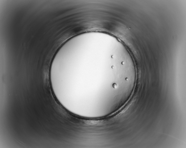 X0000088021281200706081434