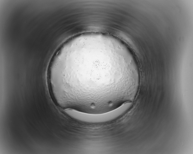 X0000088021283200706081434