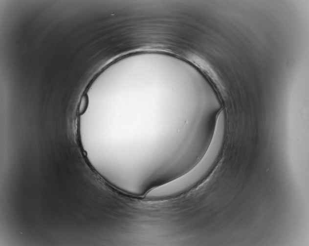 X0000088021284200706081434