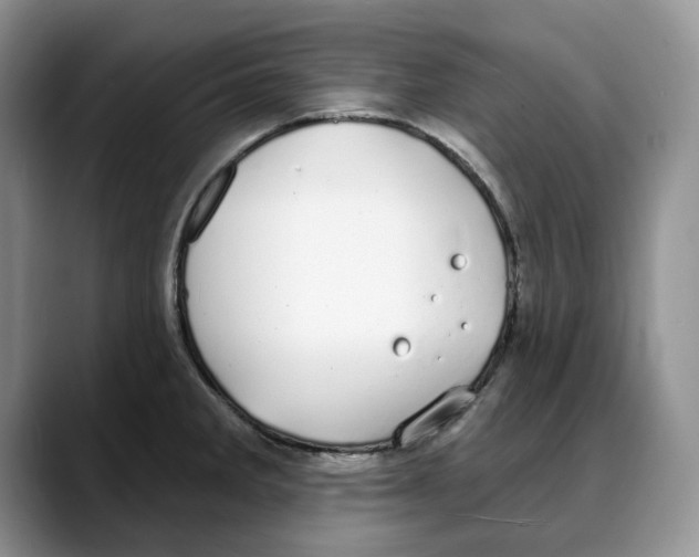 X0000088021285200706081434