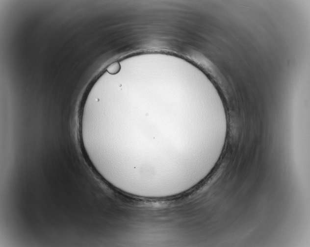 X0000088021286200706081434