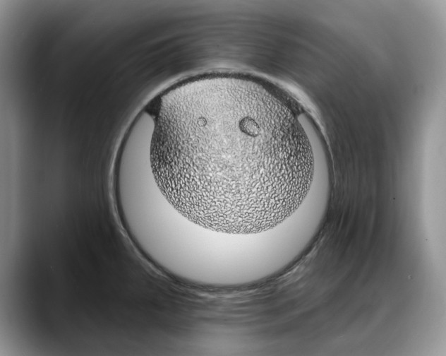 X0000088021287200706081434