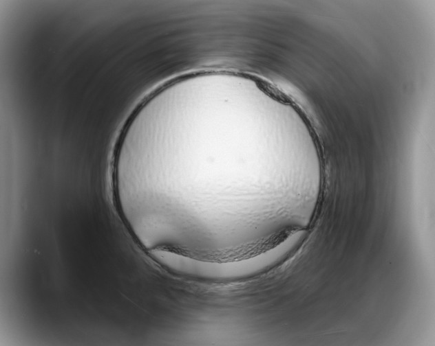 X0000088021288200706081434