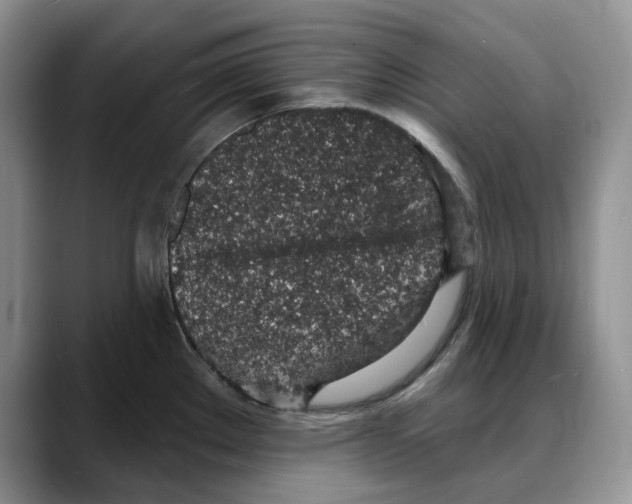 X0000088021289200706081434