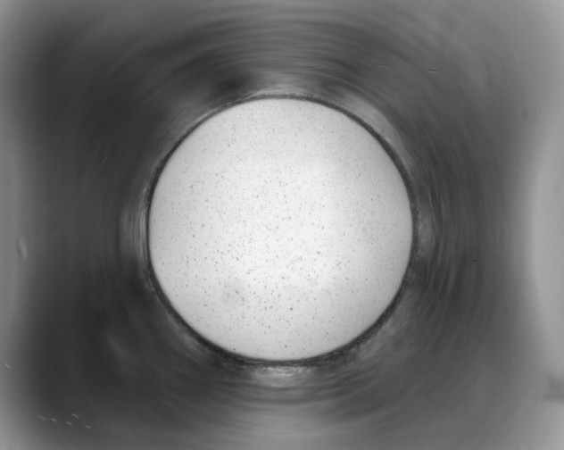 X0000088021290200706081434