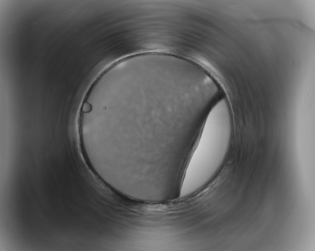 X0000088021291200706081434