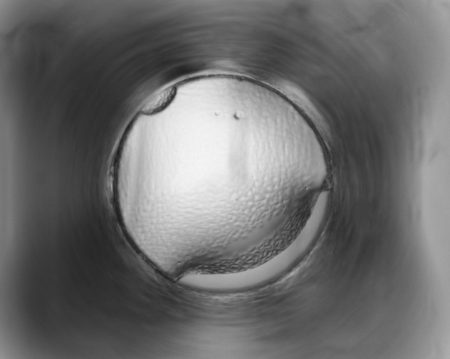 X0000088021292200706081434