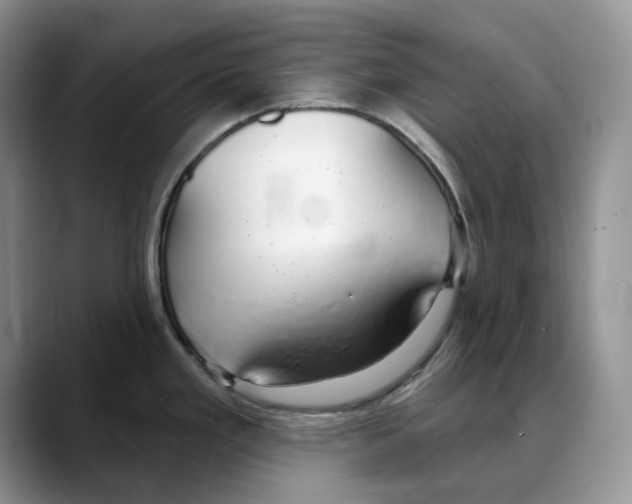 X0000088021293200706081434