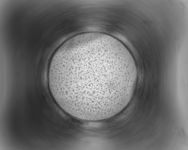 X0000088021294200706081434