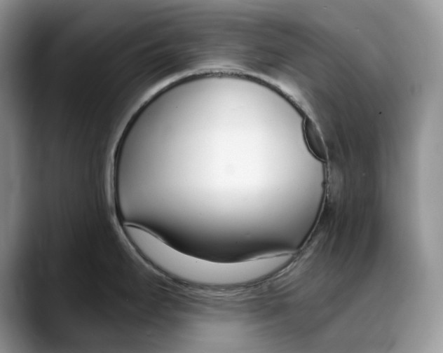 X0000088021295200706081434