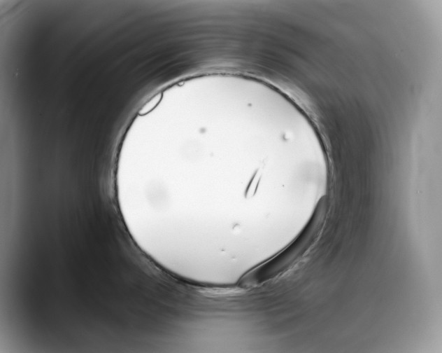 X0000088021296200706081434