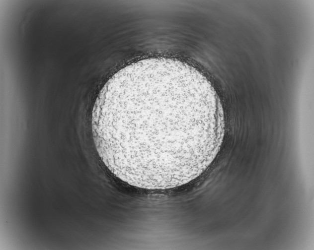 X0000088021297200706081433