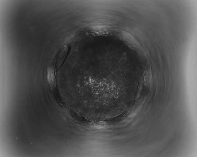 X0000088021298200706081433