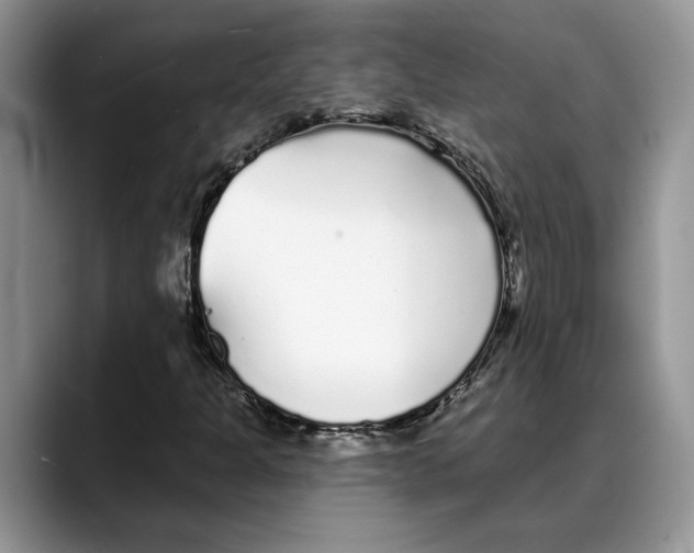 X0000088021301200706081433