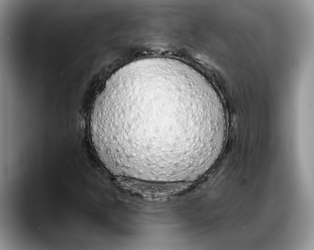 X0000088021302200706081433