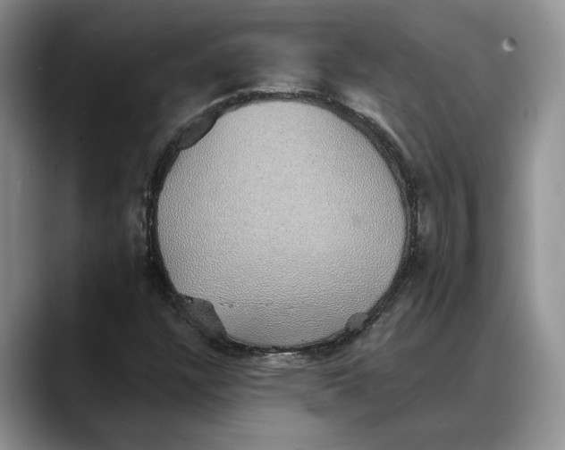 X0000088021304200706081433