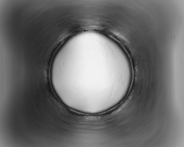 X0000088021305200706081433