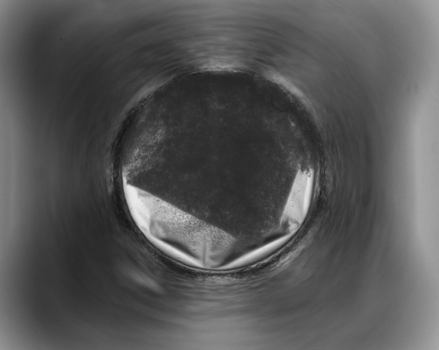 X0000088021306200706081433