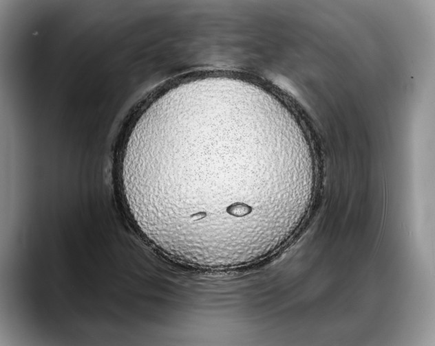 X0000088021307200706081433