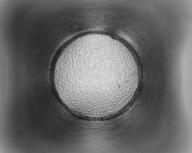 X0000088021308200706081433