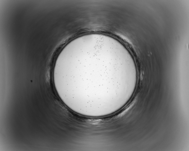 X0000088021309200706081433