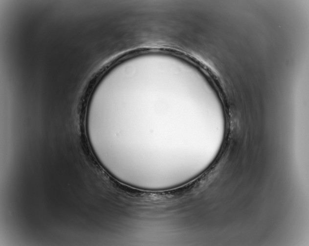 X0000088021311200706081433