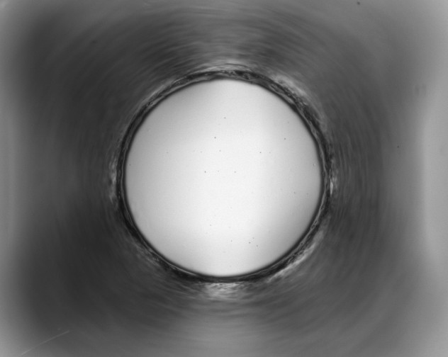 X0000088021313200706081433