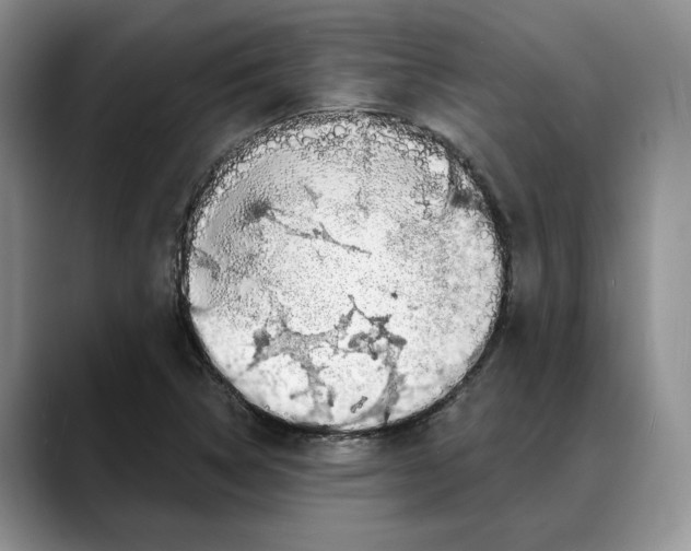 X0000088021314200706081433