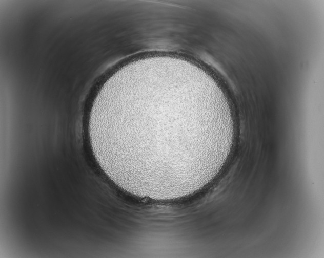 X0000088021315200706081433