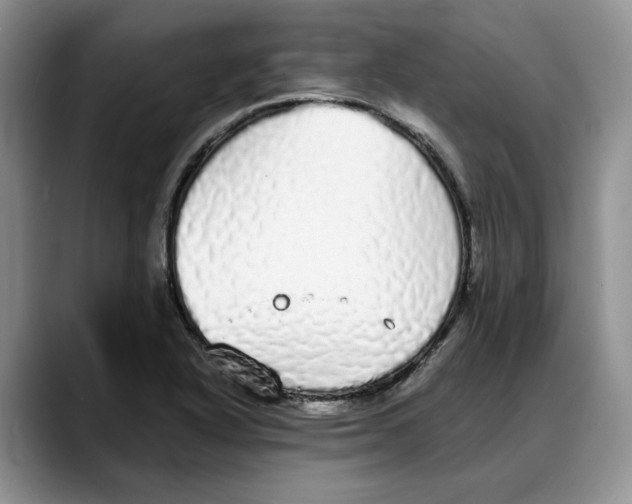 X0000088021318200706081433