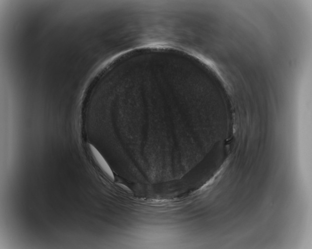 X0000088021319200706081433