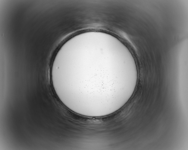 X0000088021320200706081433