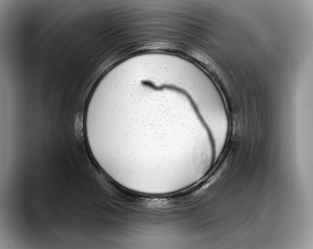 X0000088021321200706081433